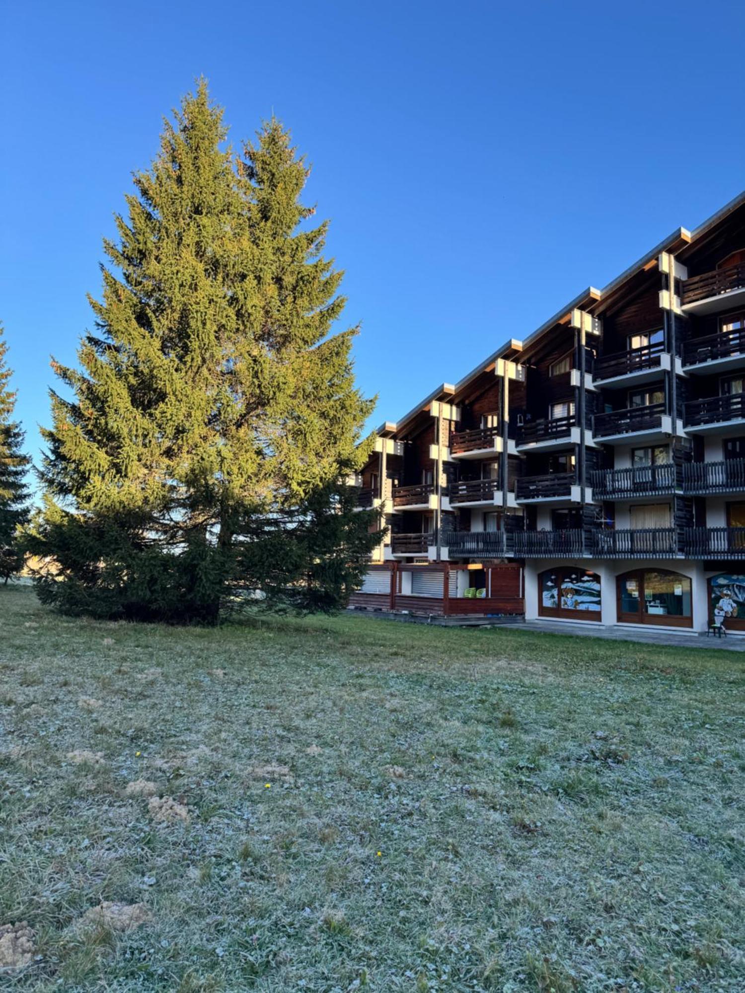 Superbe Studio De Montagne, Au Pied Des Pistes De Ski, Classe 3 Etoiles La Morte Esterno foto